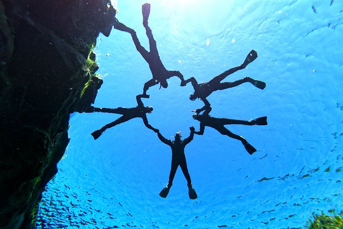 Silfra Drysuit Snorkeling Tour with Free Photos - From Reykjavik - Price and what you really get for $189
