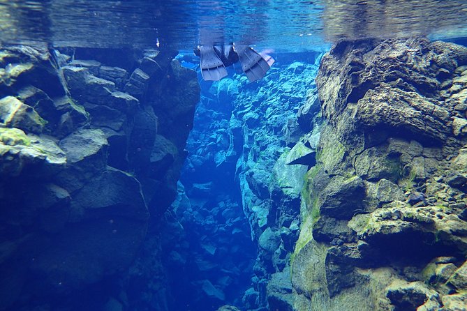 Silfra Fissure Snorkeling From Reykjavík - Free Underwater Photos - Safety Briefing and Gear Checks: The Tour’s Secret Ingredient