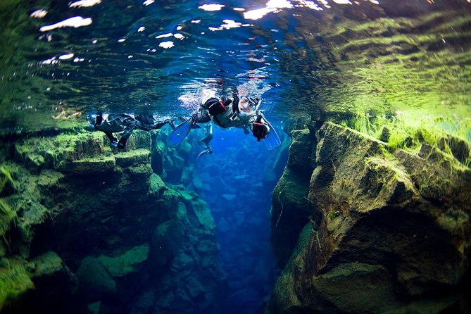 Silfra Fissure Snorkeling From Reykjavík - Free Underwater Photos - Drysuit Reality Check: Cold Hands, Slow Setup, Buoyancy Payoff