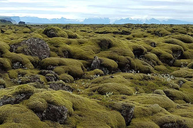 Small Group Day Tour to Lakagigar volcano by Super Jeep from Klaustur - What you actually get for the price in South Iceland