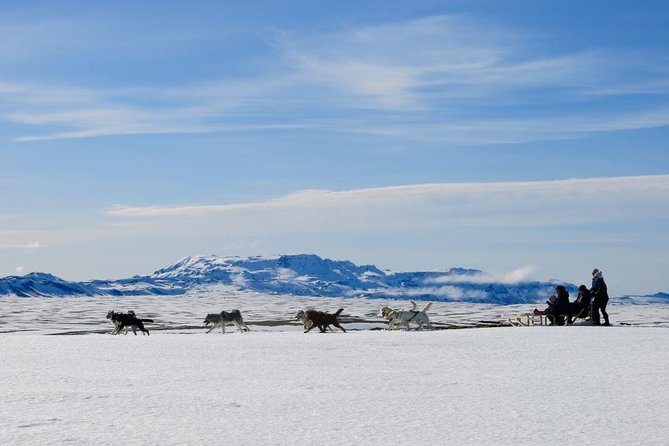 Small Group Husky Sledding Tour from Capital Region - Key highlights at a glance