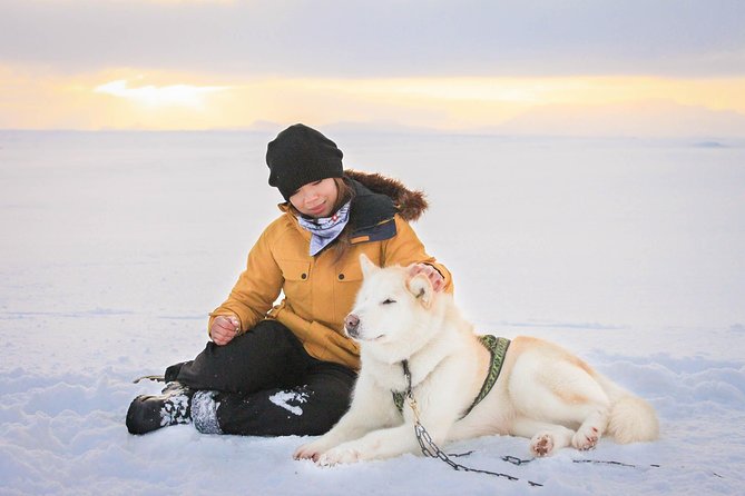 Small Group Husky Sledding Tour from Capital Region - Where This Husky Sledding Tour Fits on Your Reykjavik Trip