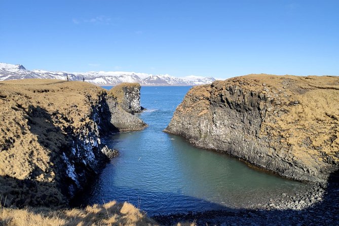 Small-Group Snaefellsnes National Park Day Trip from Reykjavik - Ytri Tunga Beach for Seals: Where “Wildlife Stop” Actually Means Wildlife
