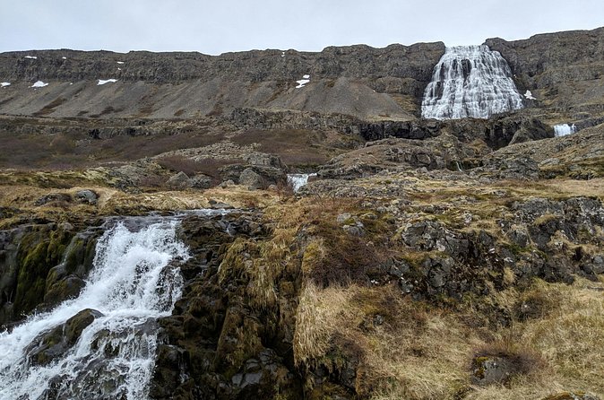Small Group Tour Ísafjordur Dynjandi Waterfall & Secret Stop - Guides make or break the day, and the pattern is strong