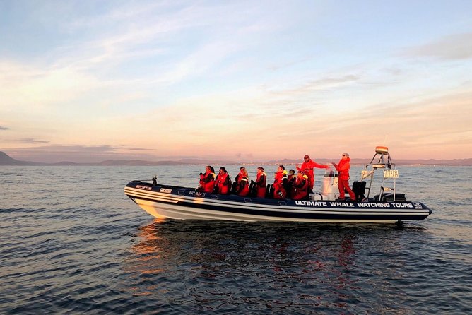 Small-group Whale Watching in the Midnight Sun from Reykjavík - Boarding the Small Boat: Overalls, Seats, and Wet Forecast Reality