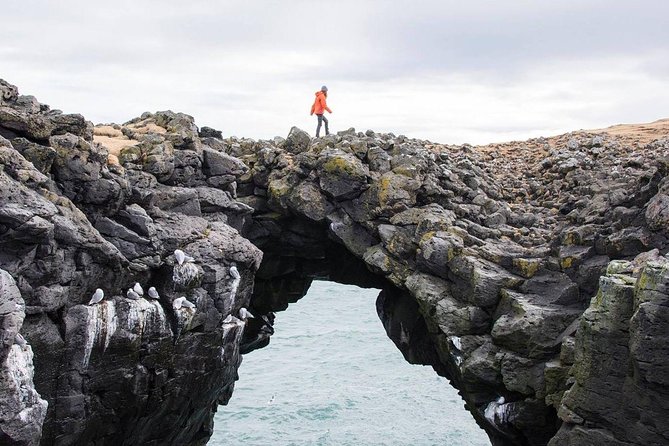 Snaefellsnes Peninsula Full Day Tour from Reykjavik - Berserkjahraun lava fields: ancient ground with saga-level drama