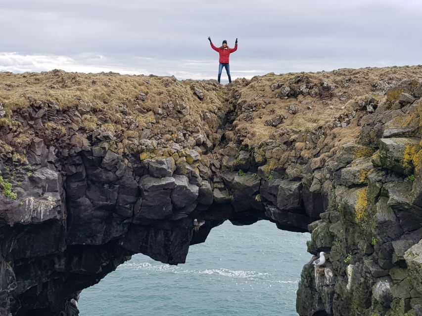 Snæfellsnes: Small-Group Hidden Treasures of The West Tour - Ytri-Tunga seal beach: the best reason to look up from your phone