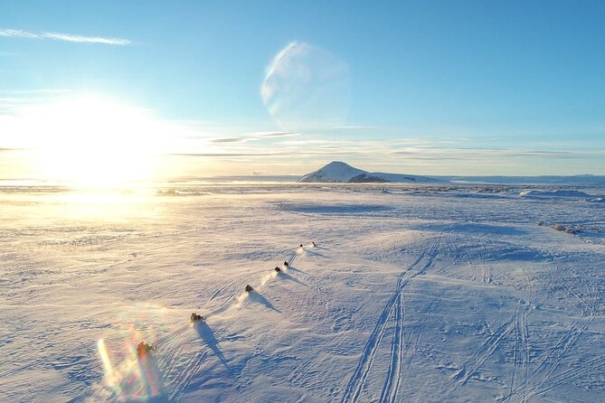 Snowmobile Tour by Lake Mývatn - Why Frozen Lake Mývatn Feels Different From Other Winter Tours