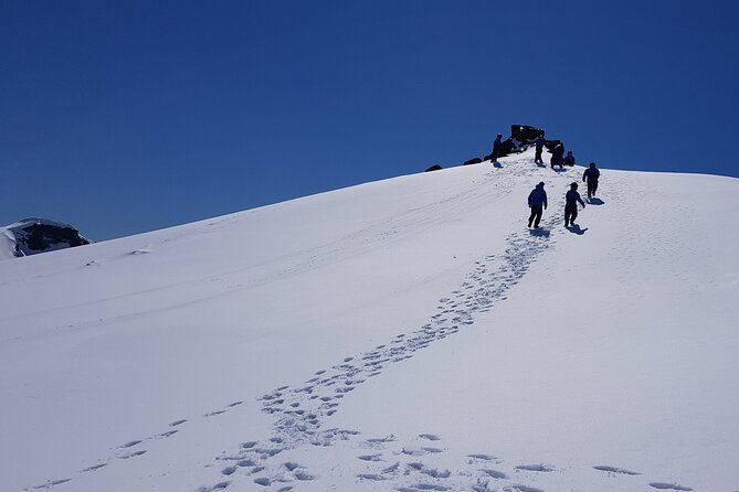 Snowmobile tour on Vatnajökull - Price and Value: About $272 for 3 Hours on a Real Glacier