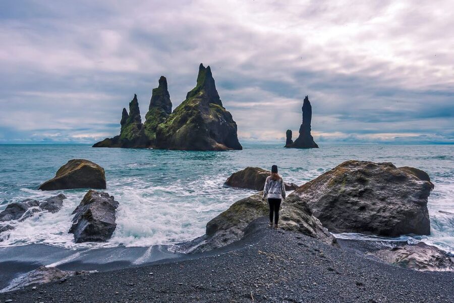 South Coast Classic: Full-Day Tour from Reykjavik - Seljalandsfoss: the hidden path, the mist, and the winter reality check