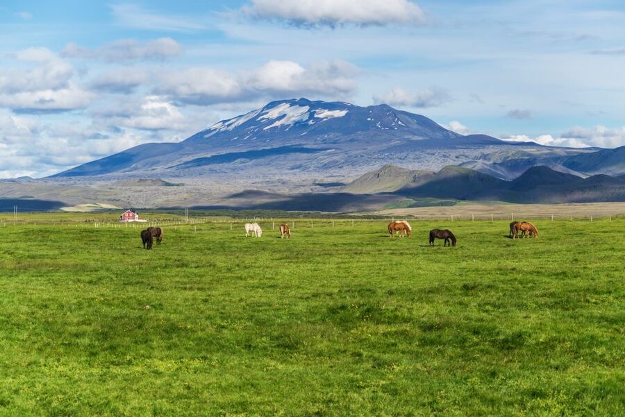 South Coast Classic: Full-Day Tour from Reykjavik - The long-day route, and why it works