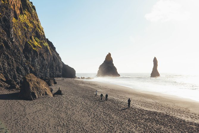 South Coast Day Tour Black Sand Beach & Waterfalls from Reykjavik - Price and Value: Is $109.80 Worth It?
