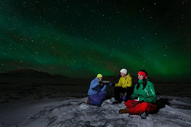 South Coast, Glacier Hike & Northern Lights from Reykjavik - Price and what $287.50 covers