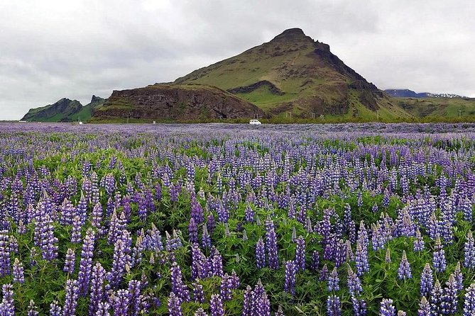 South Coast. Private Day Tour from Reykjavik - What $672 Buys You on the South Coast