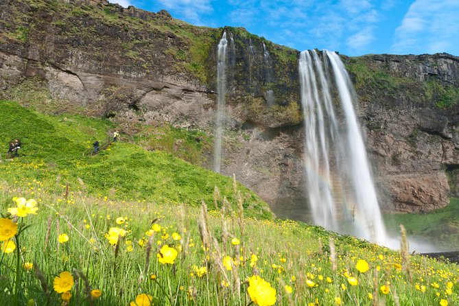 South Coast Sagas: Small Group Tour with Pick-up from Reykjavik - Should I book South Coast Sagas?