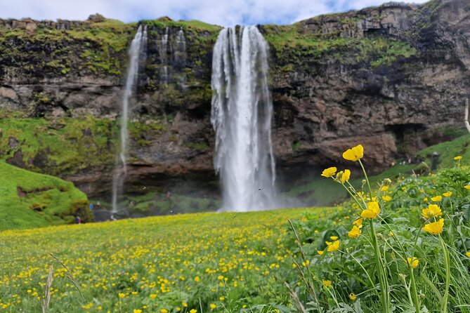 South Iceland, Glacier and Black Sand Beach Small Group Tour - A 10-hour South Coast Hit From Reykjavik