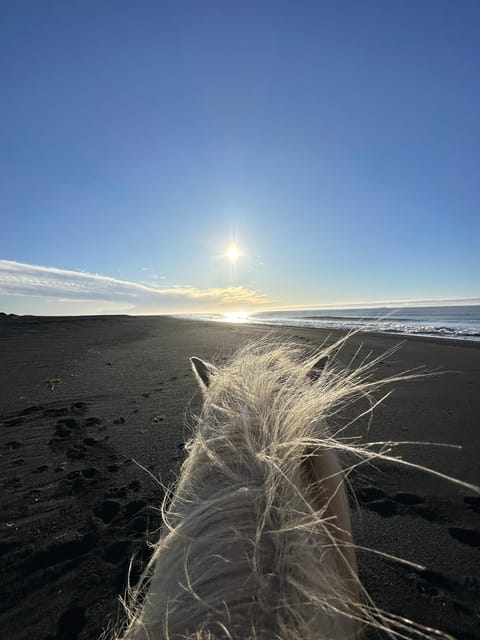 southern Iceland: Black beach riding tour - Key points before you go