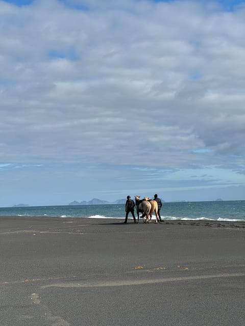 southern Iceland: Black beach riding tour - Should You Book This Southern Iceland Black Beach Riding Tour?