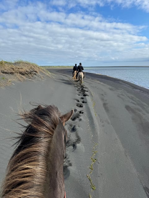 southern Iceland: Black beach riding tour - Black Sand and Westman Islands Views From the Saddle