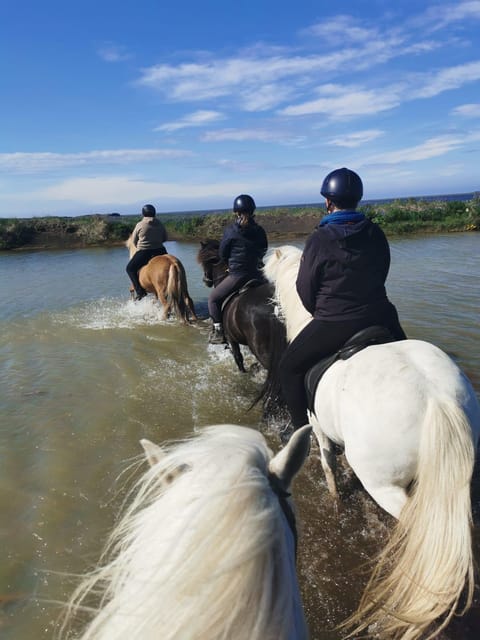 southern Iceland: Black beach riding tour - Getting There: Finding the Farm Turnoff Near Oddavegur