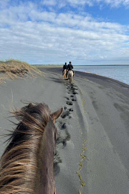southern Iceland: Black beach riding tour - Small Group Ride Feel, Guides Who Keep It Calm, and Mixed Experience Levels