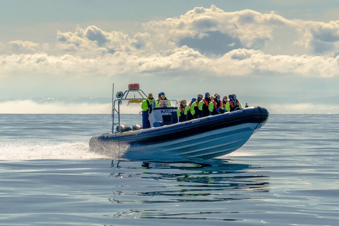 Speedboat Whale Watching Small-Group Tour in Reykjavik - Why the RIB matters more than you think in Reykjavik