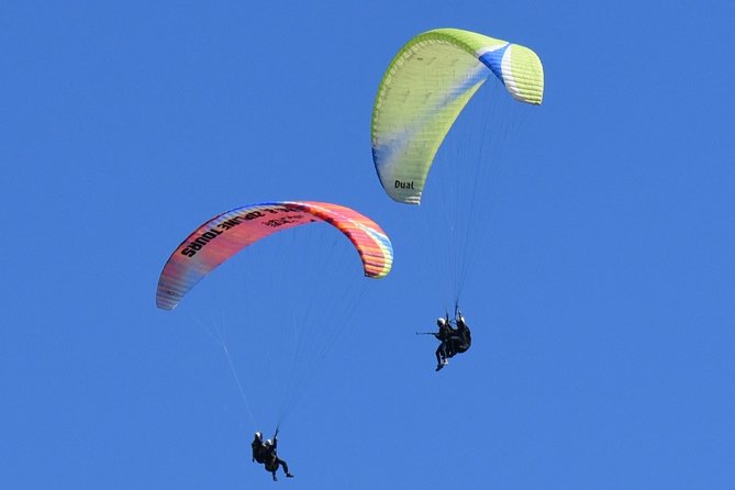 Tandem Paragliding Flights from Vik - Breaking Down the Stops in Human Terms