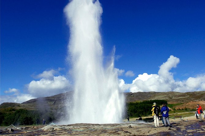 The Golden Circle Guided Bus Tour from Reykjavik - Þingvellir National Park in 30 minutes: short, but it lands