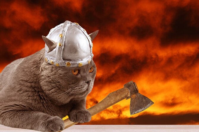 The Reykjavik Cat Walking Tour - Why Reykjavik’s cats make a fun city guide