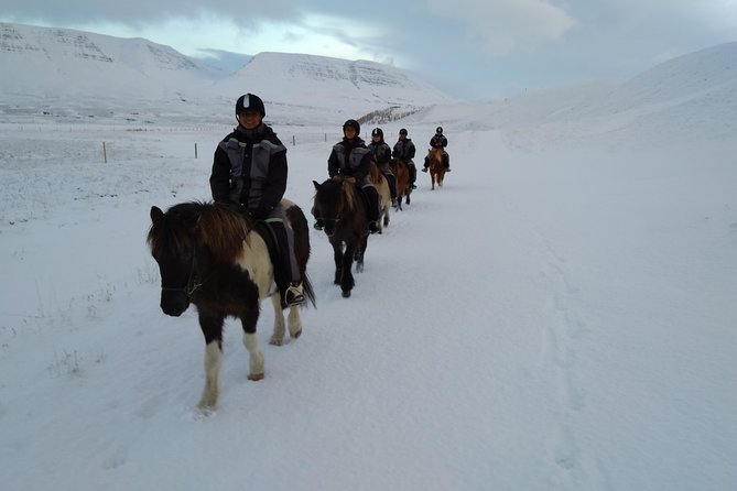 The Viking Horse Riding Experience in North Iceland - Your 1.5-Hour Ride: River Trail, Waterfall Stop, and Winter Surprises