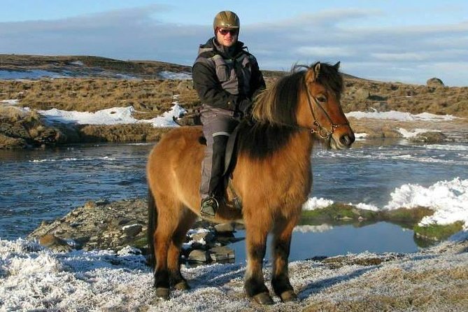 The Viking Horse Riding Experience in North Iceland - How the Icelandic Horses Feel Under You, Including Tölt