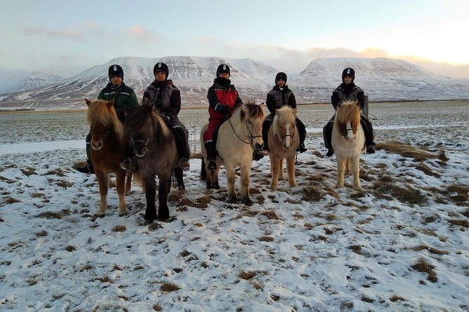 The Viking Horse Riding Experience in North Iceland - Snow Safety and What to Wear for Windy Riding