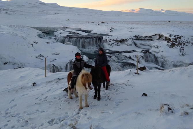 The Viking Horse Riding Experience in North Iceland - Price and Value at $123.75 for 1.5 Hours