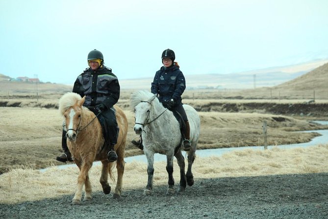 The Viking Horse Riding Experience in North Iceland - Should You Book This Winter Horse Ride Near Akureyri?