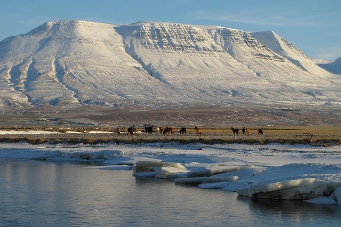 The Viking Horse Riding Experience in North Iceland - Getting There: Hestasport Reception at Vegamót