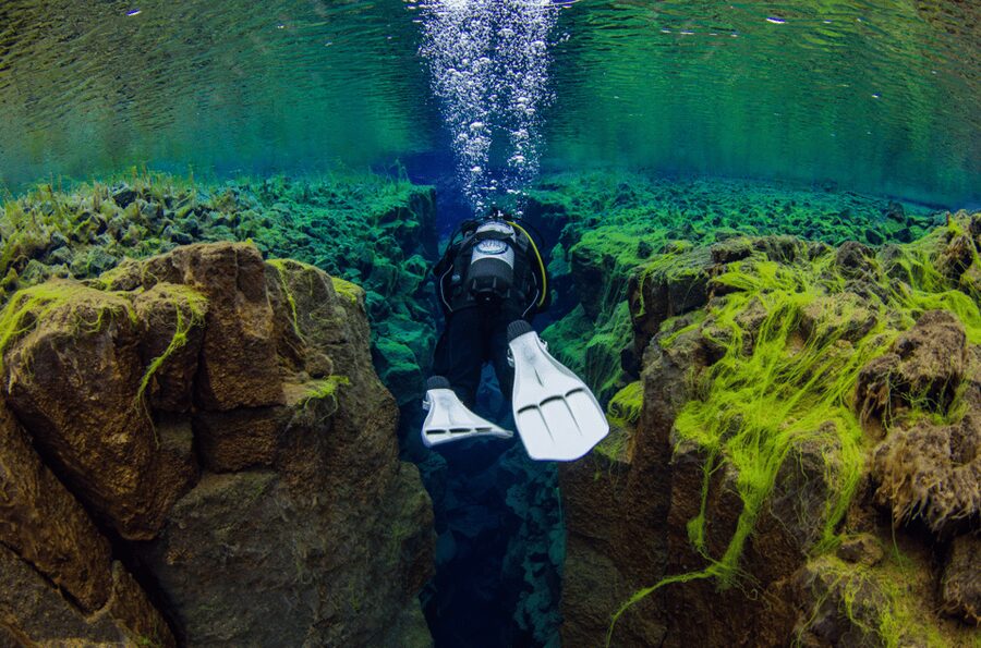 Thingvellir: Silfra Fissure Diving with Optional Pickup - Cold Water Reality: How Long You’ll Feel It, and What Helps