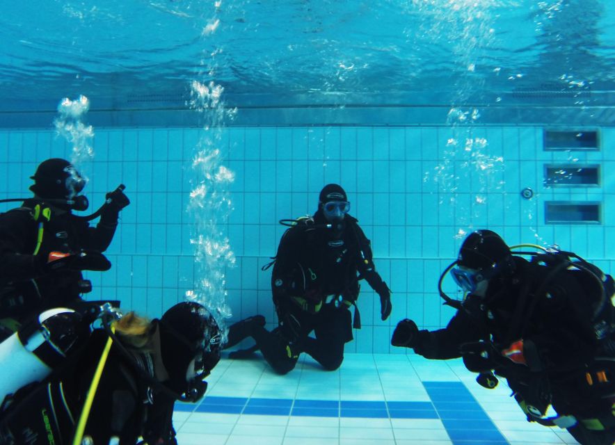 Thingvellir: Silfra Fissure Diving with Optional Pickup - Gear Included, and Why That’s Real Value at $281