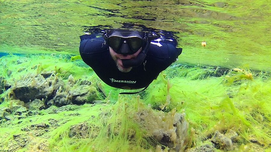 Thingvellir: Silfra Freedive Adevnture with a Guide - Why Silfra’s tectonic setting changes the whole mood