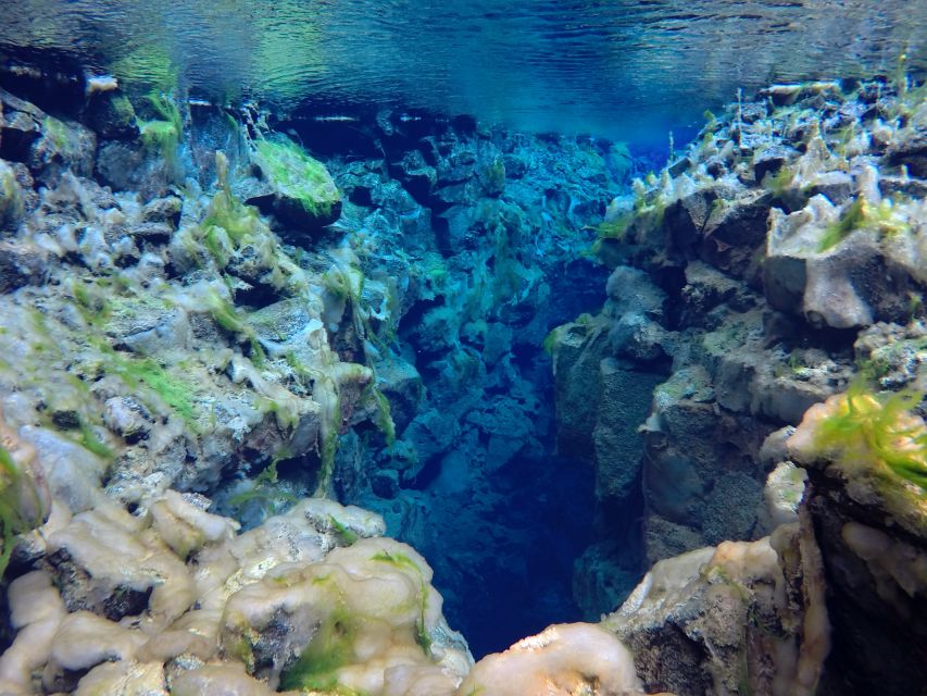 Thingvellir: Silfra Freedive Adevnture with a Guide - Swimming technique tips that actually help in clear water