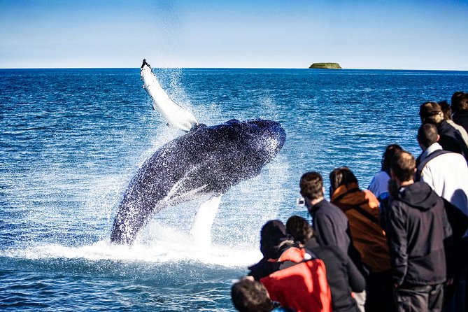 Traditional Oak Ship Whale Watching Tour From Husavik - Why Húsavík and a traditional oak ship feel different