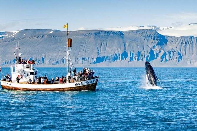 Traditional Oak Ship Whale Watching Tour From Husavik - The 3-hour flow from North Sailing, stop to finish