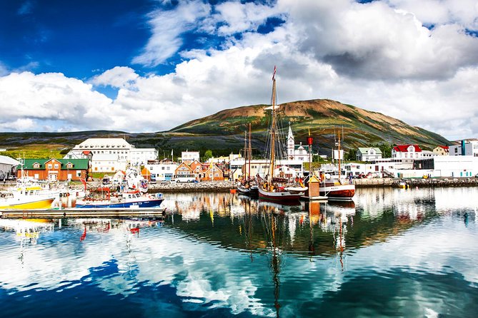 Traditional Oak Ship Whale Watching Tour From Husavik - Who should book this Husavík whale watching tour