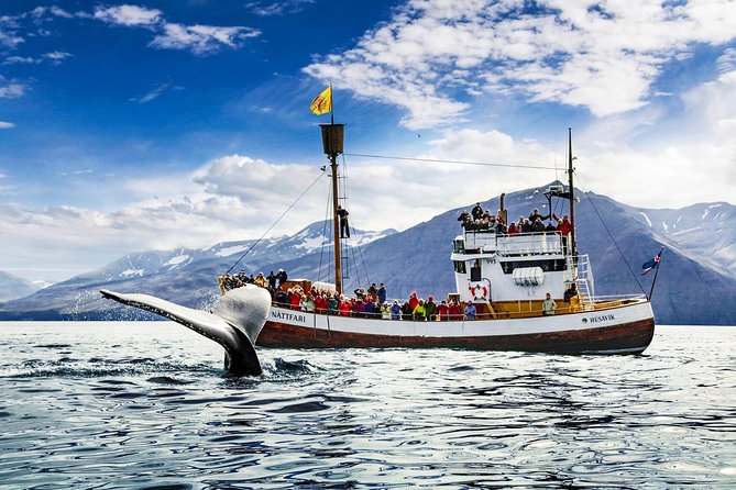 Traditional Oak Ship Whale Watching Tour From Husavik - Skjálfandi Bay: the real star of the show