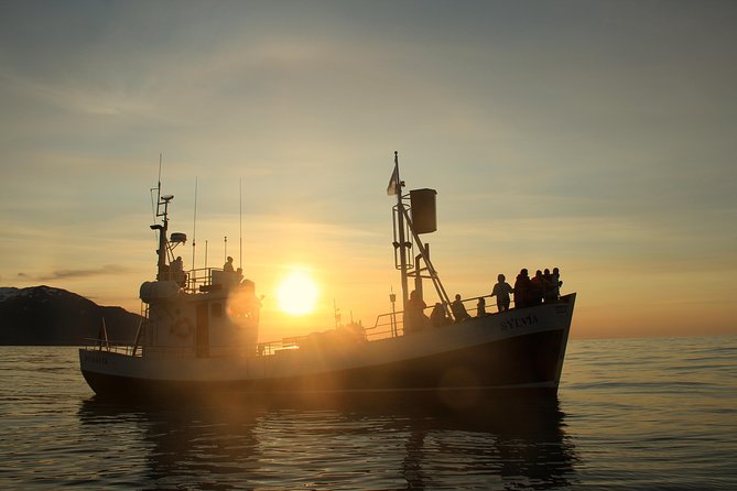Traditional Whale Watching from Húsavík by Local Family Company - Check-in timing and what to do when you arrive