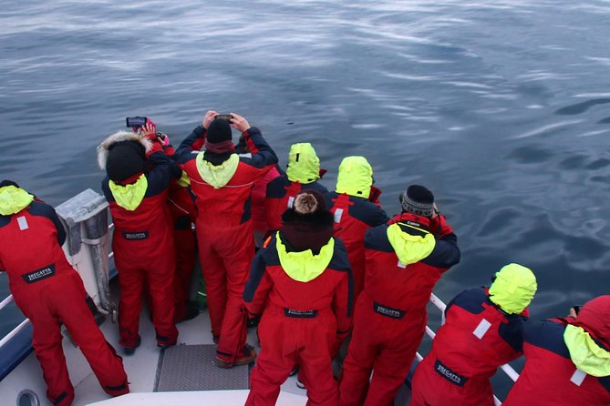 Two-In-One: Whale & Puffin Watching Tours from Reykjavik - Value check: is 140 dollars a fair deal?