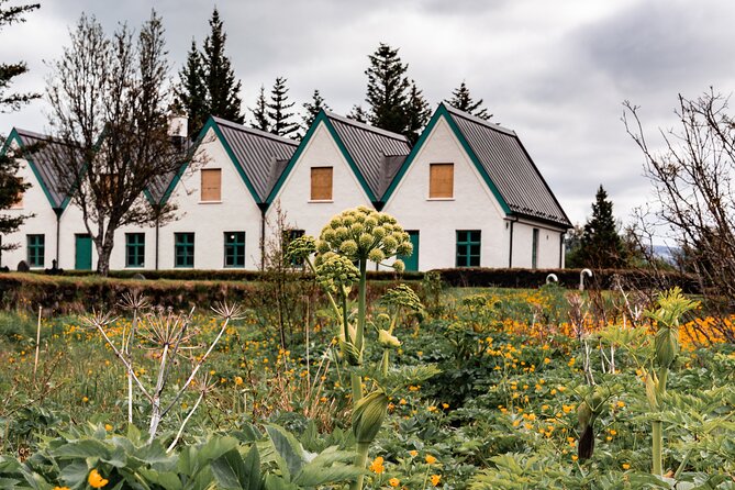 Unforgettable Full-Day Golden Circle Private Tour from Reykjavík - A Private, Air-Conditioned Golden Circle Day From Reykjavík