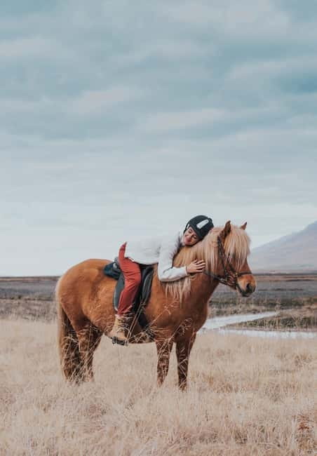 Varmahlid: Viking Horse Riding Tour - Key things I’d bookmark before you go