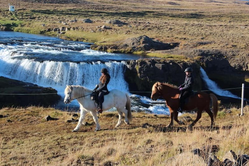 Varmahlid: Viking Horse Riding Tour - Entering North Iceland on Icelandic horses near Varmahlíð