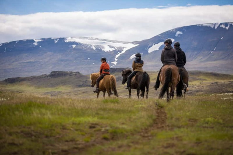 Varmahlid: Viking Horse Riding Tour - Gear and clothing that actually works in Iceland