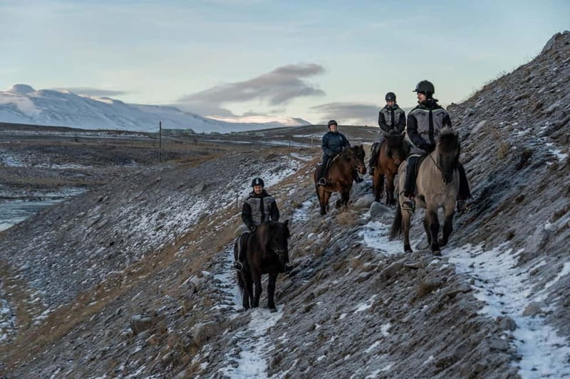 Varmahlid: Viking Horse Riding Tour - Riding the Svartá River: the part where you slow down and look up